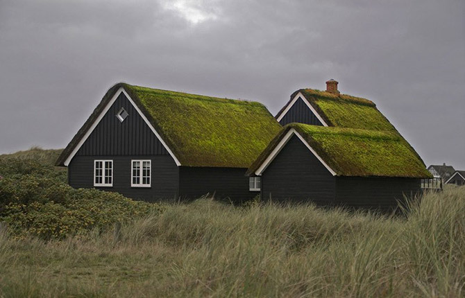 How to get rid of moss on the roof: why it is harmful, why it appears, methods and means of control