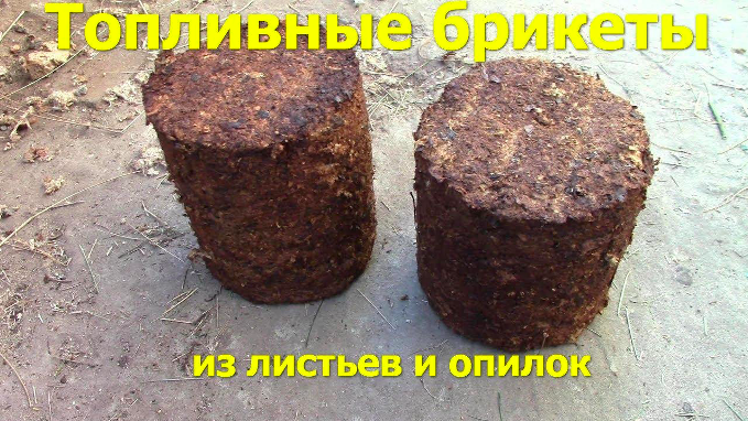 Do-it-yourself fuel briquettes from leaves and grass: how to make – Setafi