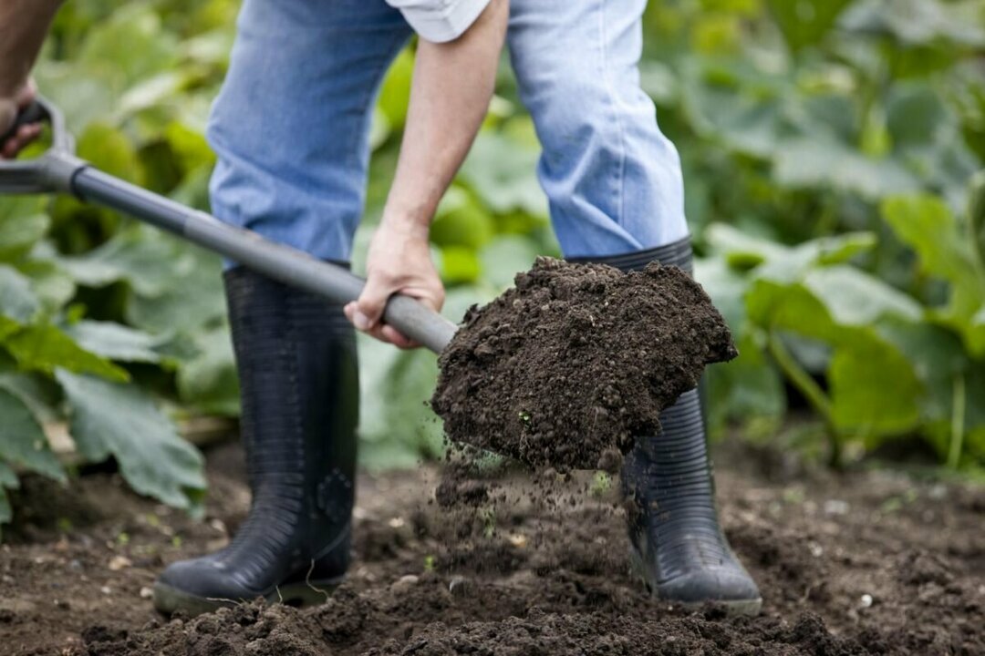 Jak kopat zem lopatou: základní pravidla