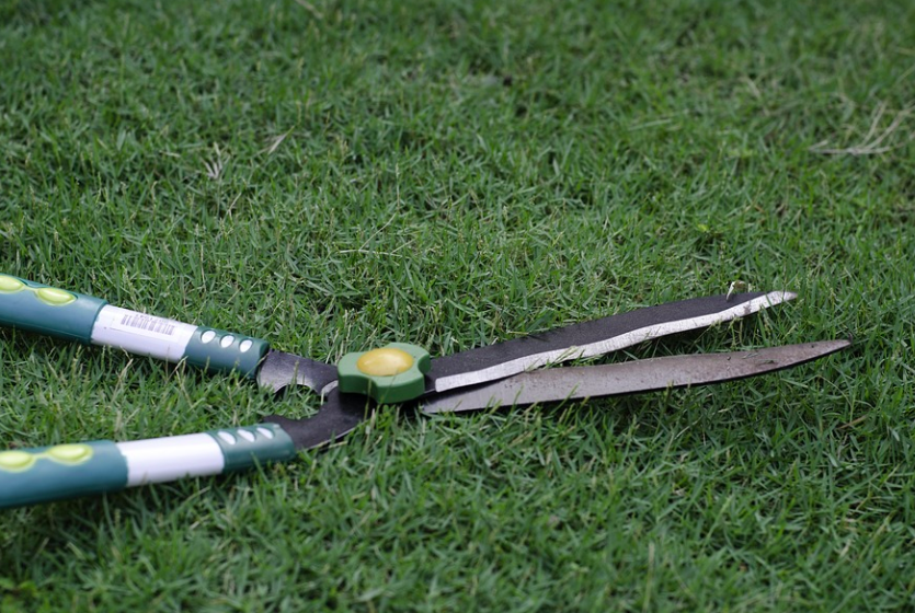 Garden shears for cutting grass: choosing a tool for all seasons – Setafi