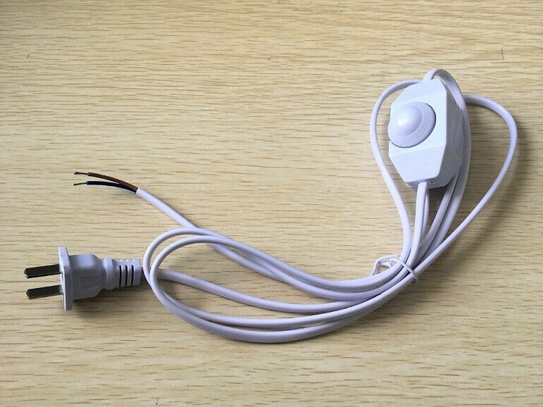 Power cord with switch