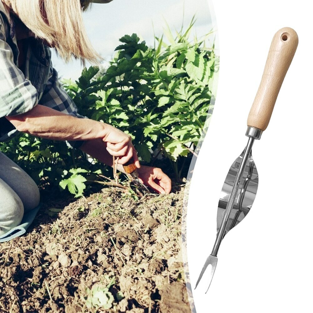 Odstraňovač zahradních kořenů: jak používat, jaký nástroj